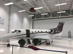 an airplane is parked in a large hanger with plants on the ground below it