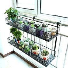 Trend Indoor Plant Stand Ideas Crate Garden, Balcony Hanging Plants, Balcony Railing Planters, Living Room Cozy, Balcony Planters