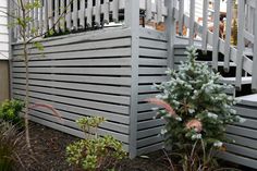 a small evergreen tree in front of a wooden fence and steps leading up to the house