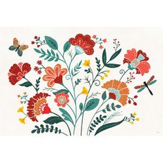 an image of flowers and dragonflies on a white background with red, orange, yellow, green and blue colors