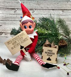 an elf holding two signs sitting next to a christmas tree and pine cones on the ground