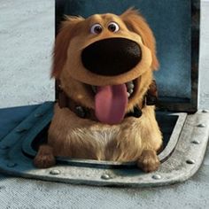 a dog with its tongue out sitting in front of an open suitcase