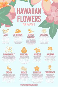 The photo shows a collage with information about different Hawaiian flowers. Island Flower Tattoo, Ponyo Sea, Hawaiian Words And Meanings, Culture Studies, Zen Inspiration, Hawaiian History, Coconut Dream, Gardening Inspiration, Hawaiian Flower