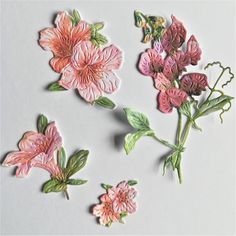 some pink flowers and green leaves on a white surface