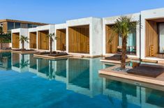 an outdoor swimming pool with lounge chairs and palm trees next to it in front of a building