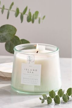 a white candle sitting on top of a table next to a green leafy plant