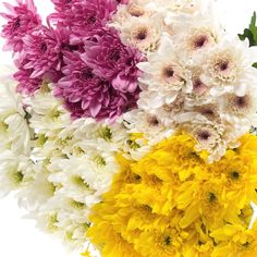 a bunch of different colored flowers in a vase