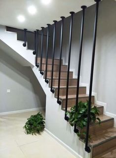 a staircase with metal railings and plants on the bottom