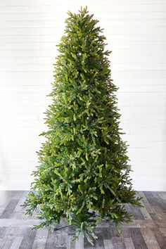 a very tall green tree in a room