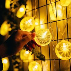 a hand holding a light bulb in front of a wall covered with lights and strings