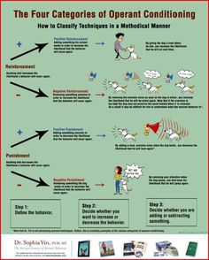 the four catgores of operant conditioning how to classy techniques in a medical manner