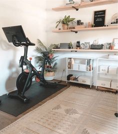 there is a bike in the room with shelves on the wall and a potted plant next to it