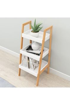 a white shelf with books and a potted plant