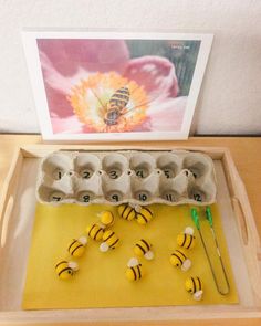 the bees are in an egg carton and have their eggs laid out