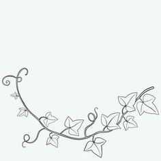 a line drawing of a vine with leaves