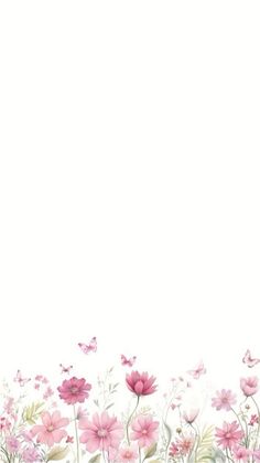 pink flowers and butterflies on a white background