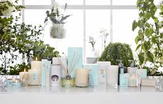 several candles are sitting on a table in front of some potted plants