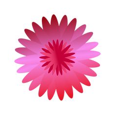 a pink and red flower on a white background