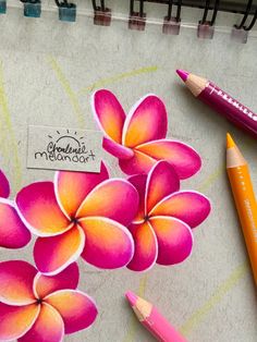 some pencils are laying on top of a drawing paper with flowers drawn on it