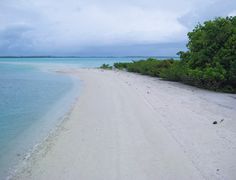 an empty beach with trees and water in the background