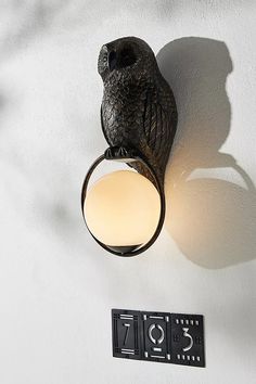 an owl is sitting on the wall next to a light fixture with a dimmer