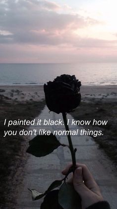 someone holding up a rose with the words i painted it black i know how you don't like normal things