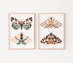 two framed pictures with moths on them