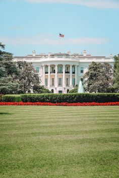 the white house in washington d c is seen from across the lawn with red flowers