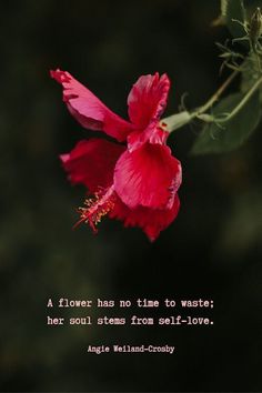 a flower has no time to waste her soul stems from self - love