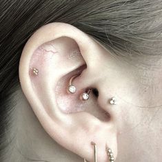 a close up of a person with ear piercings on their left side of the ear