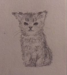 a pencil drawing of a kitten sitting down