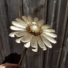 a close up of a person holding a flower in front of a wooden fence background