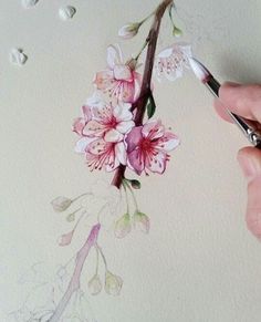 someone is painting flowers with watercolors on paper