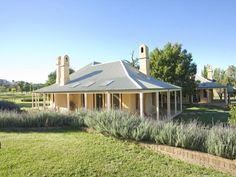 the house is surrounded by lavender and trees