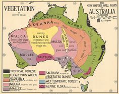 a map of australia showing the landforms and their major cities, with labels indicating where they are located