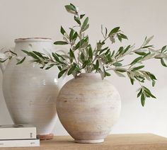 two white vases with green plants in them on a table next to a book