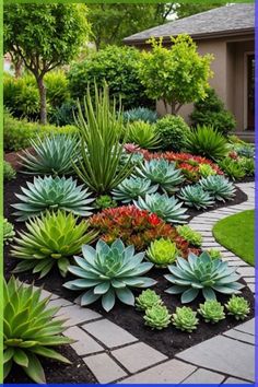 a garden with lots of different plants and flowers in the center, along with a brick walkway