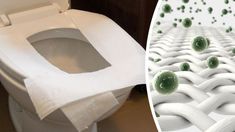 a toilet with some green balls on the seat and in front of it is an image of a white toilet