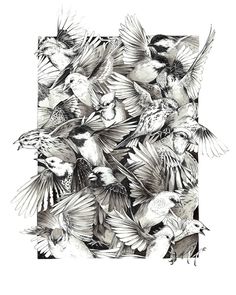 black and white drawing of birds flying in the air