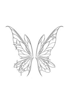 the outline of a butterfly's wings on a white background