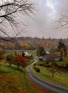 a rural country road in the fall with houses and trees on both sides, surrounded by green grass