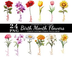 flowers with the words, 24 birth month flowers written in different font styles and colors