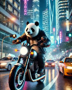 a panda bear riding on the back of a motorcycle down a city street at night