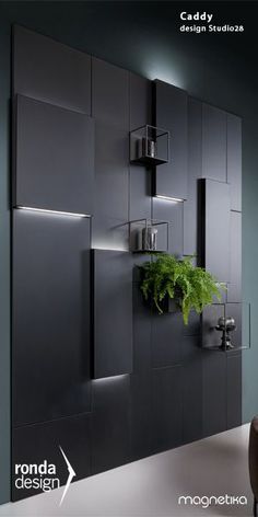 a modern kitchen with black cabinets and green plants