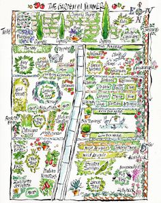 a garden map with lots of plants and flowers on it, including the name of each plant