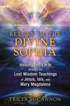 the book cover for return of the divine sophiia