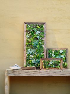 two wooden frames with plants in them sitting on a table next to a yellow wall