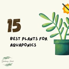 a green plant in a pot with the words best plants for aquaponics on it