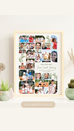 a family photo collage is displayed on a shelf with succulents and potted plants