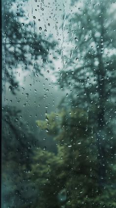 rain drops on the window with trees in the background